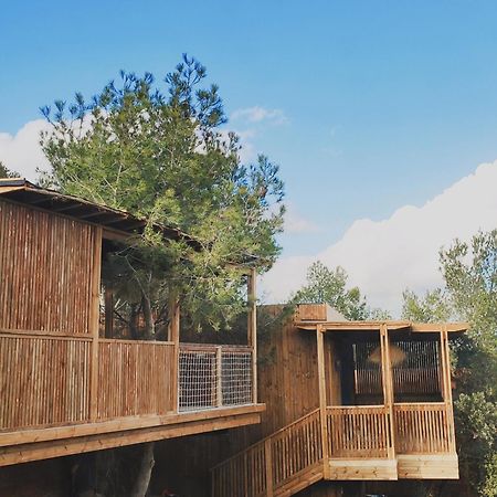 Villa Occitana Кальвисон Экстерьер фото