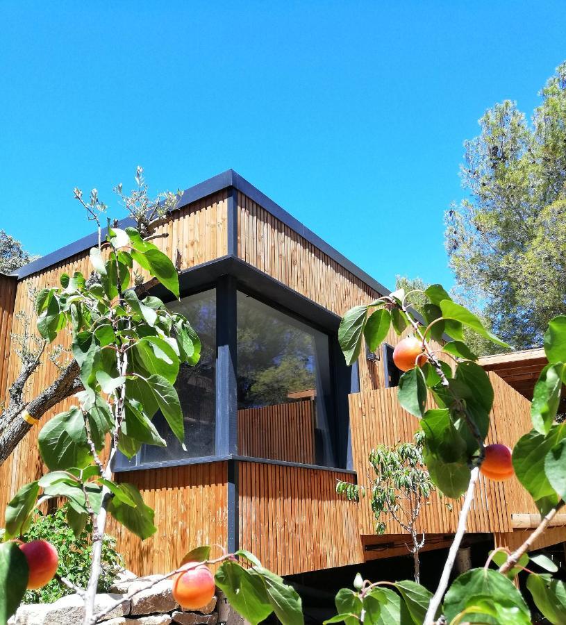 Villa Occitana Кальвисон Экстерьер фото